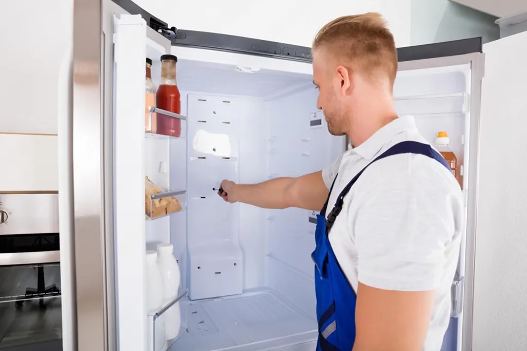 10 Year Old Fridge Repair or Replace